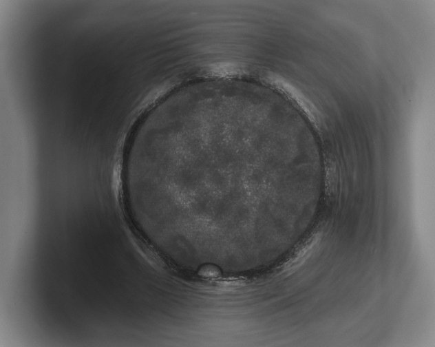 X0000102460443200808151411