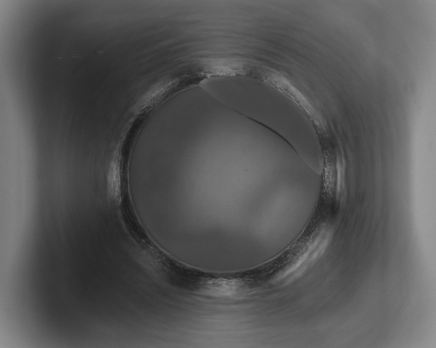 X0000102460444200808151411