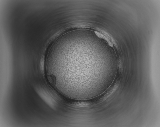 X0000102460445200808151411