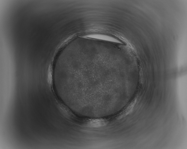 X0000102460446200808151411