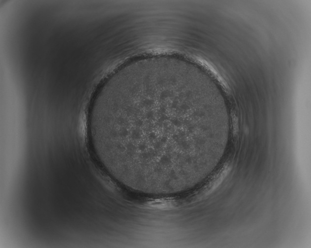 X0000102460447200808151411