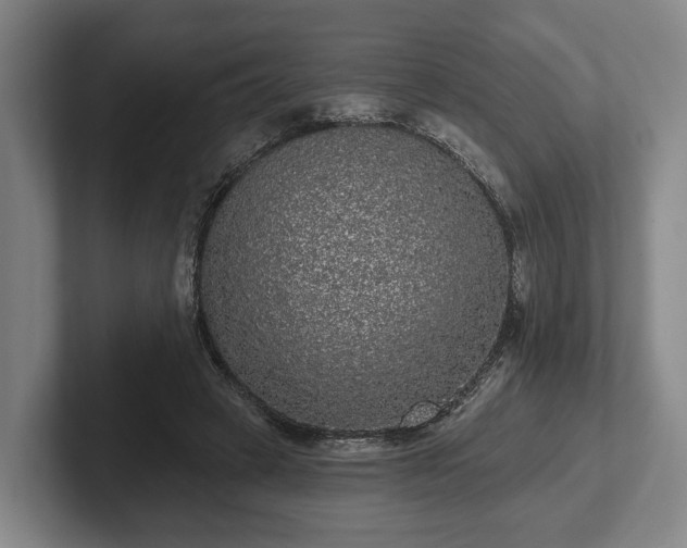 X0000102460449200808151411