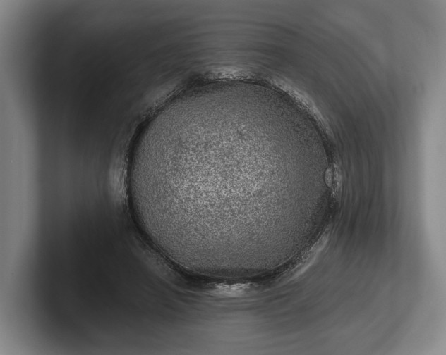 X0000102460450200808151411