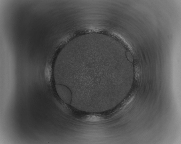 X0000102460451200808151411