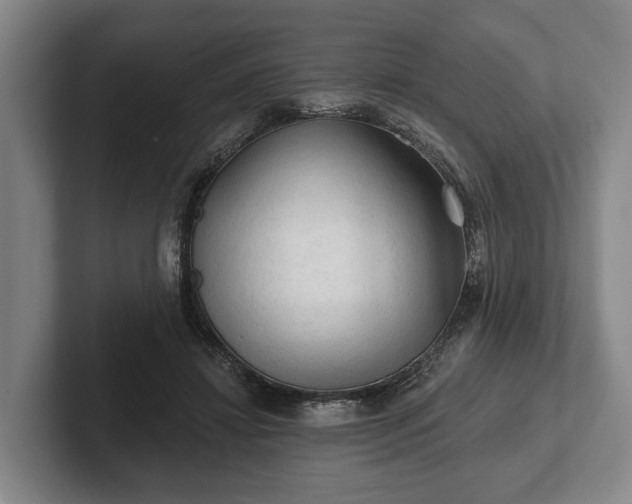 X0000102460452200808151411