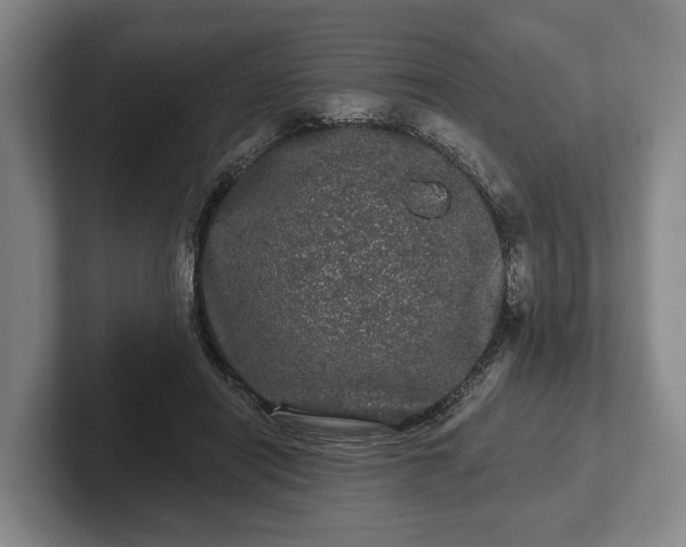 X0000102460454200808151411