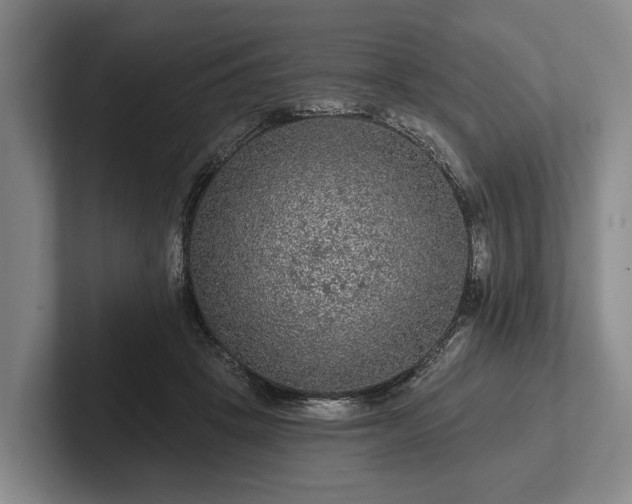 X0000102460457200808151411