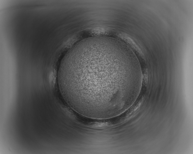 X0000102460458200808151411