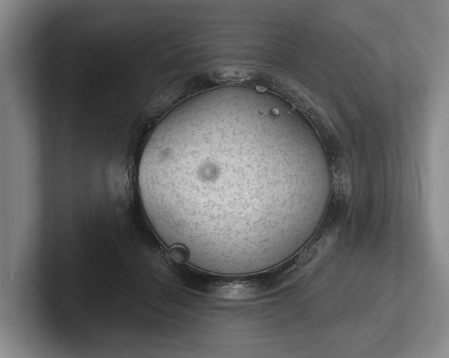 X0000102460460200808151411