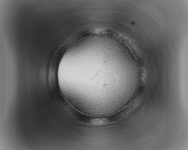 X0000102460461200808151411