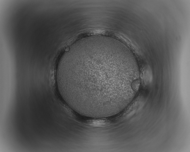 X0000102460462200808151411