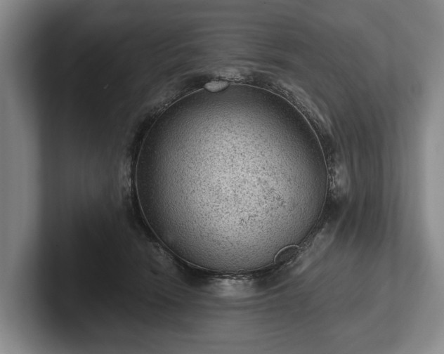 X0000102460466200808151411