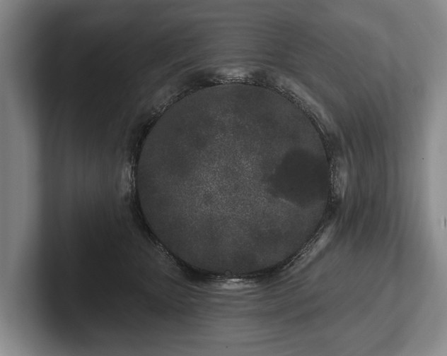 X0000102460467200808151411