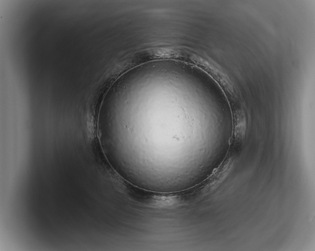 X0000102460469200808151411