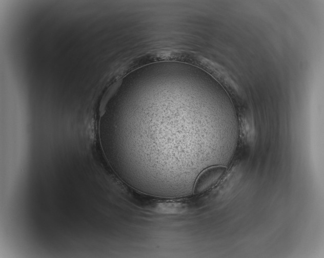 X0000102460470200808151411