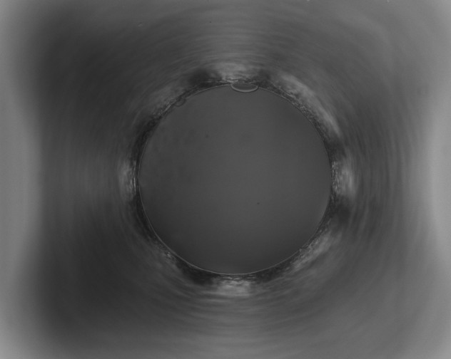 X0000102460471200808151411