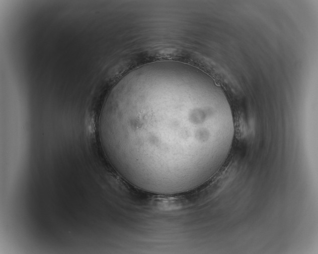 X0000102460472200808151411