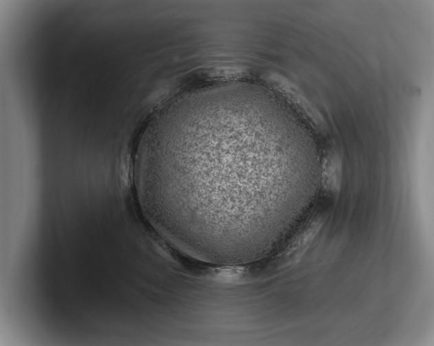 X0000102460474200808151411