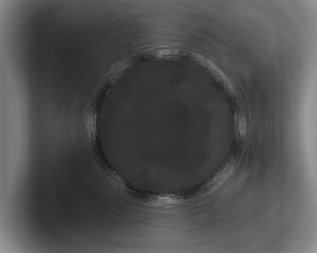 X0000102460475200808151411