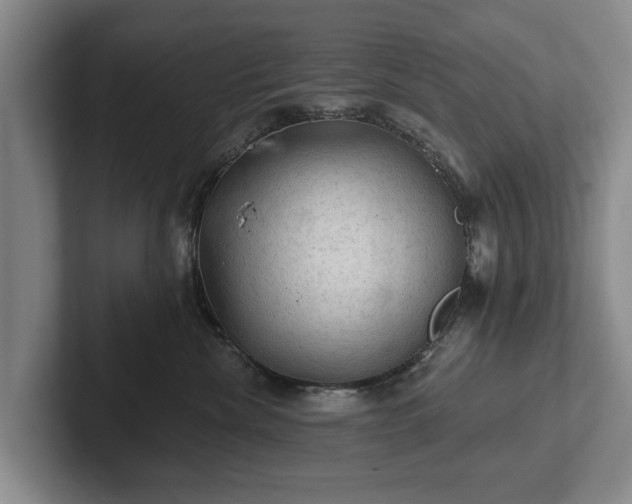 X0000102460476200808151411