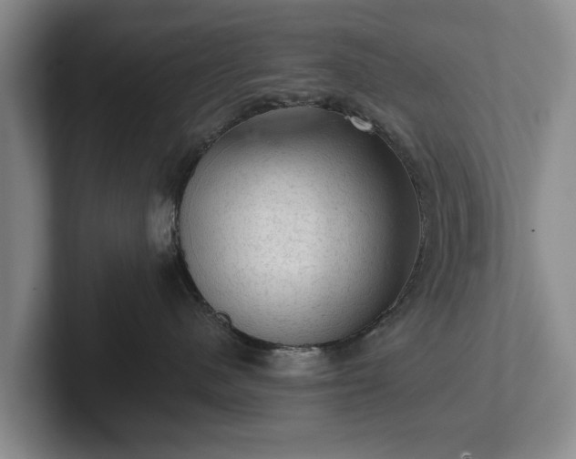 X0000102460480200808151411