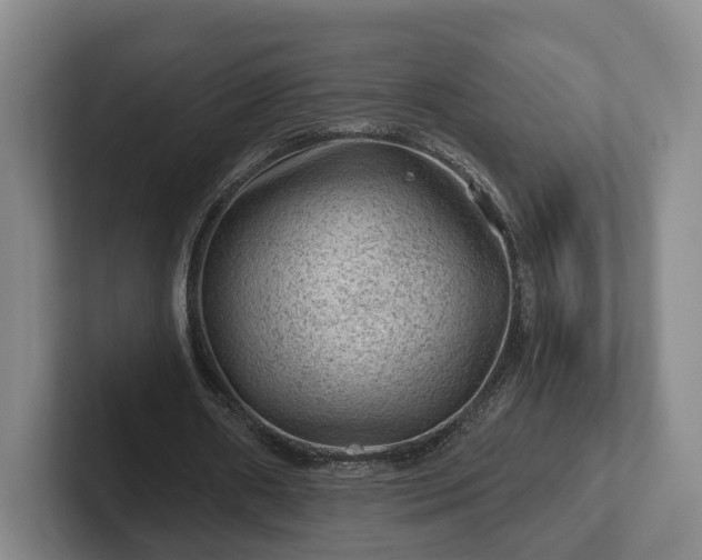 X0000102460482200808151410