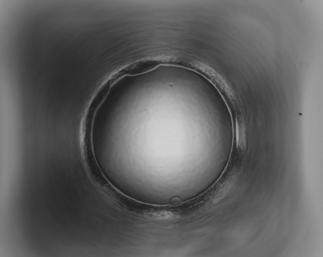 X0000102460483200808151410