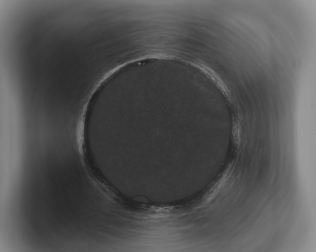 X0000102460484200808151410