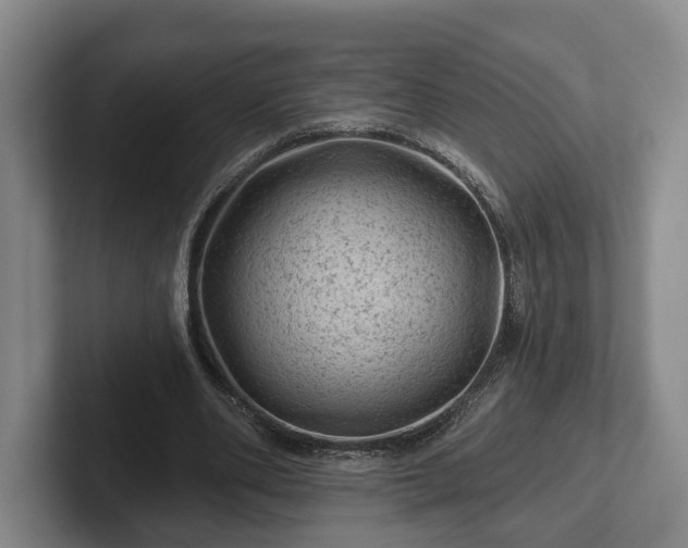 X0000102460486200808151410