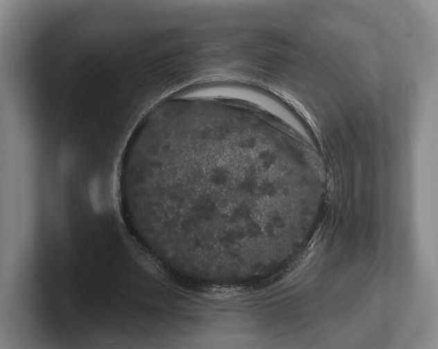 X0000102460487200808151410