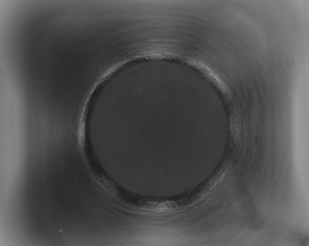 X0000102460488200808151410