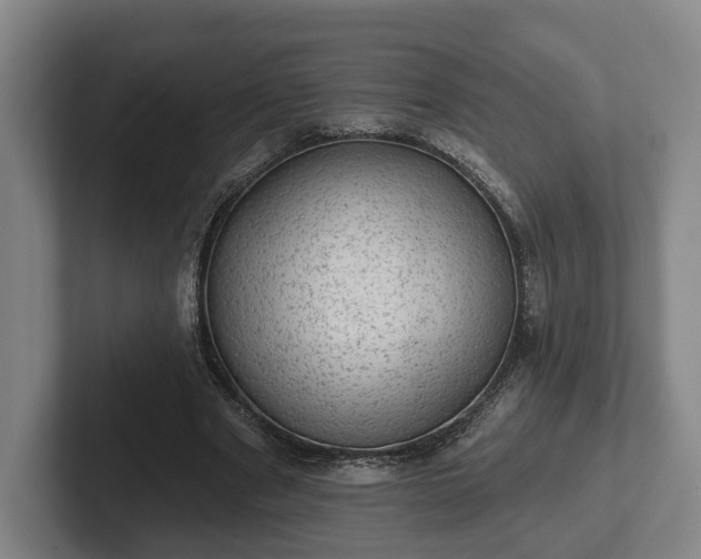 X0000102460489200808151410