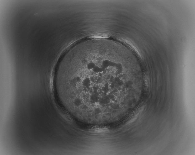 X0000102460491200808151410