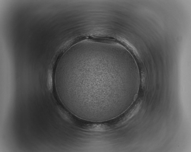 X0000102460493200808151410