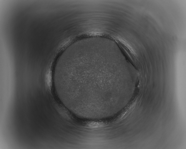 X0000102460494200808151410