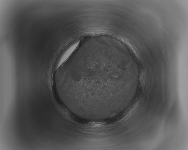 X0000102460495200808151410