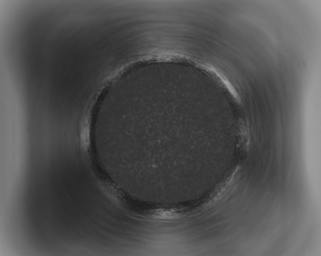 X0000102460496200808151410