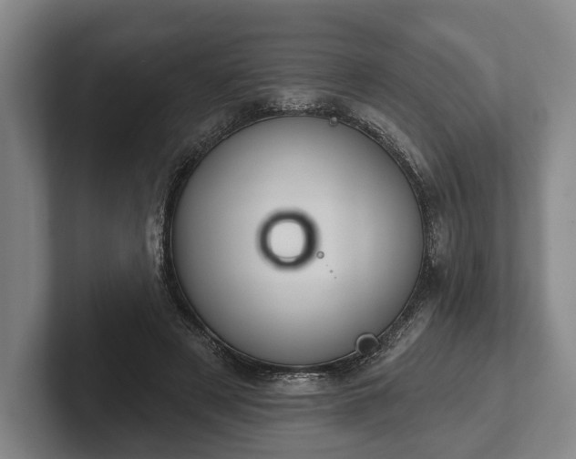 X0000102460497200808151410