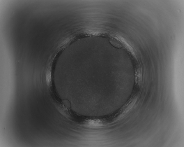 X0000102460500200808151410