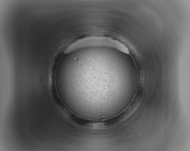 X0000102460501200808151410