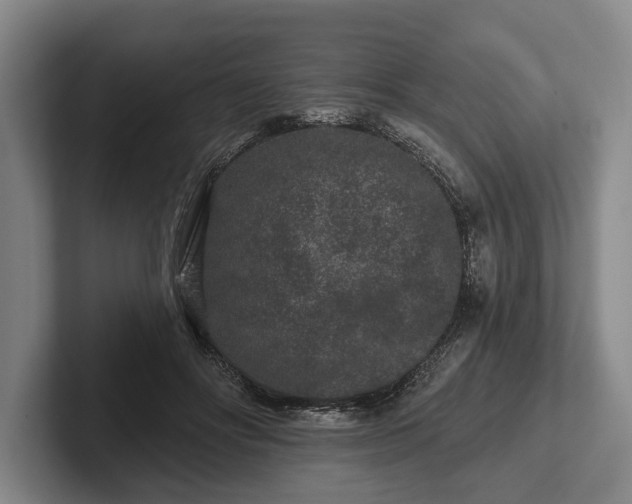 X0000102460502200808151410