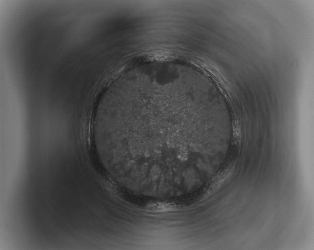 X0000102460503200808151410