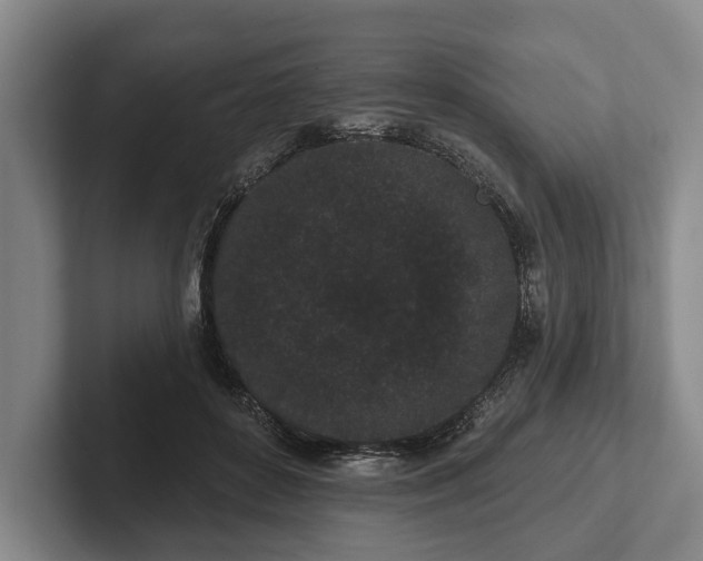 X0000102460504200808151410