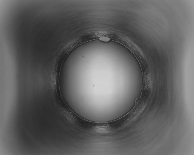 X0000102460505200808151410