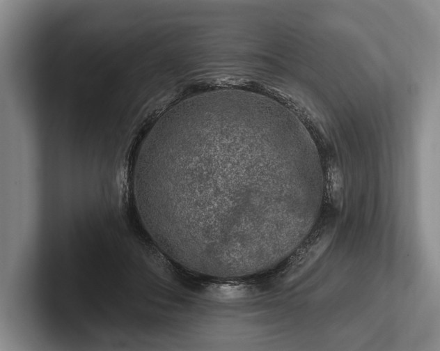 X0000102460506200808151410