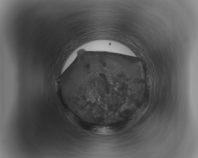 X0000102460507200808151410