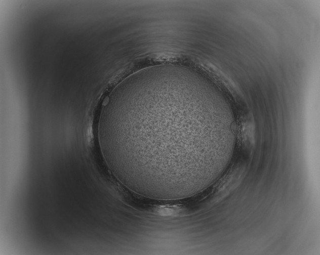 X0000102460508200808151410