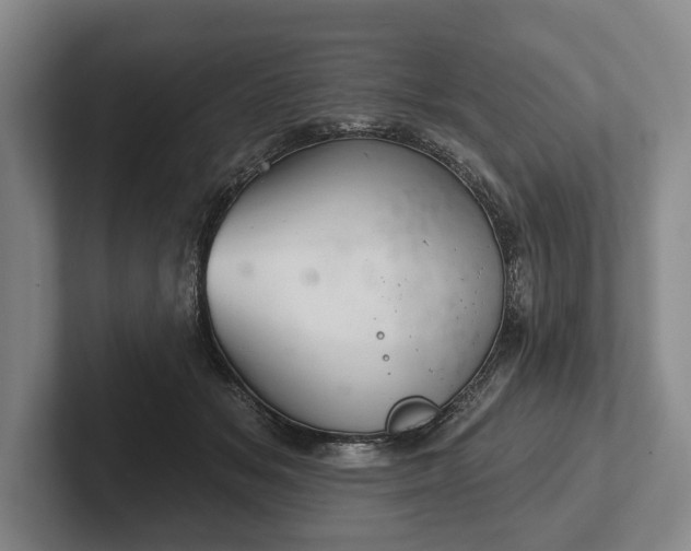 X0000102460509200808151410