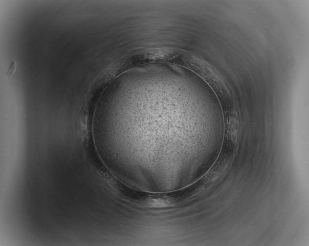 X0000102460510200808151410