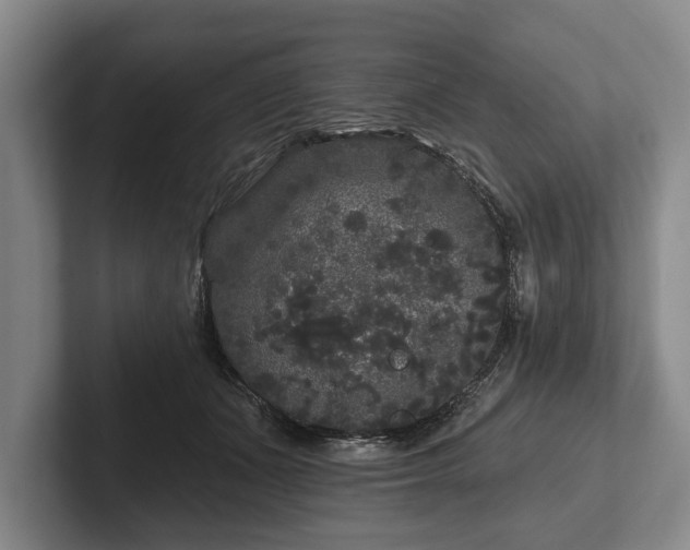 X0000102460511200808151410